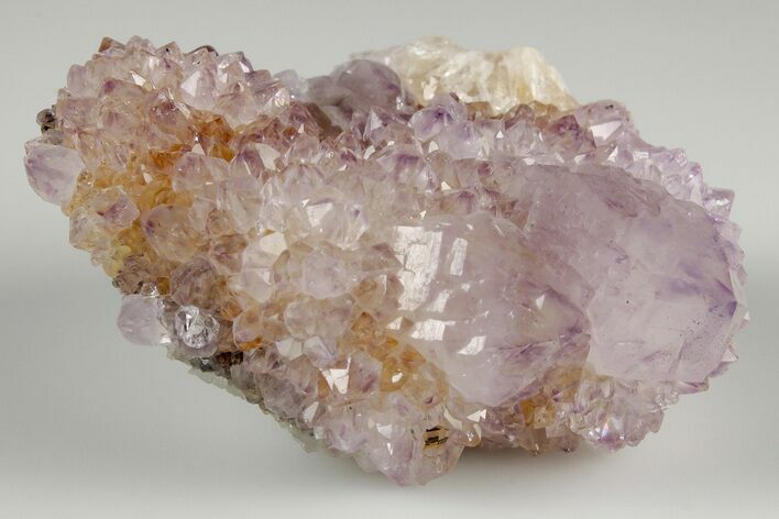 Cactus Quartz (Amethyst) Crystal Cluster- South Africa #187193